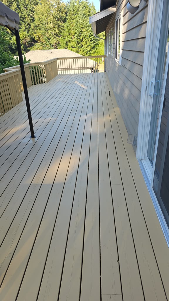 Deck Paint or Deck Stain